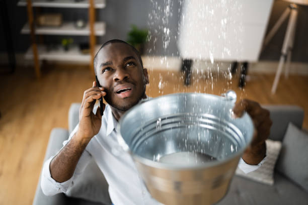 Best Sewage cleanup and water damage restoration  in Moorhead, MN
