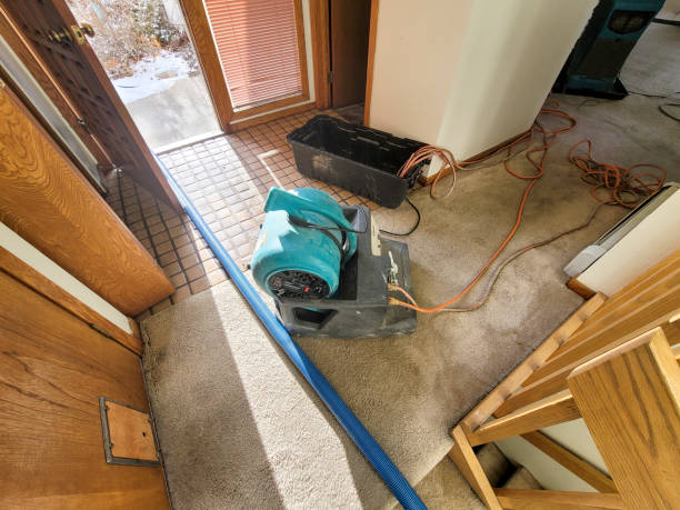 Best Ceiling water damage repair  in Moorhead, MN