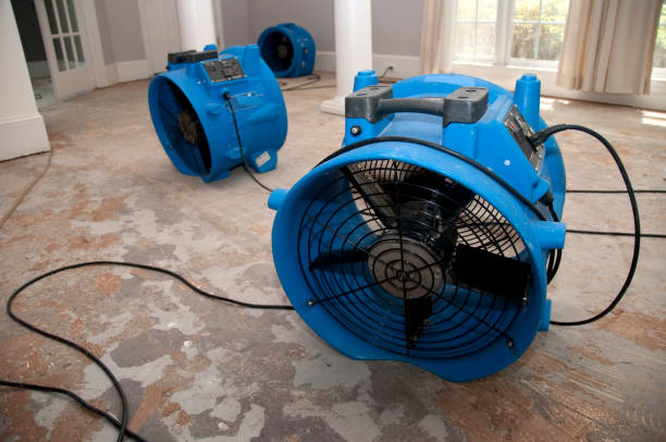 Best Carpet water damage restoration  in Moorhead, MN