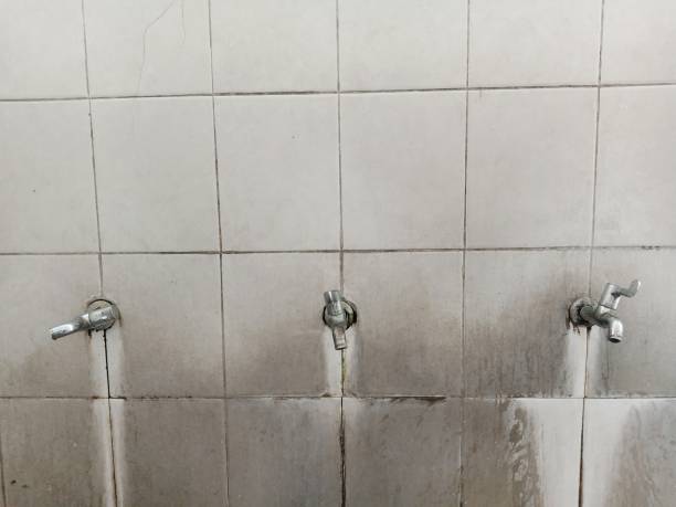 Best Mold removal after water damage  in Moorhead, MN