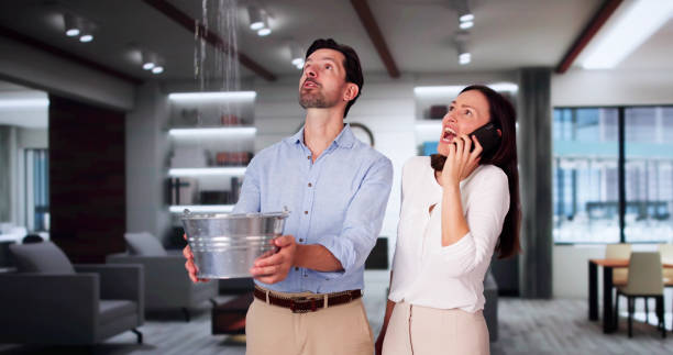 Best Basement water damage restoration  in Moorhead, MN