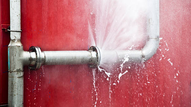 Best Flood damage cleanup  in Moorhead, MN